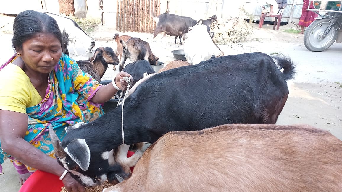 ছবি: প্রথম আলো