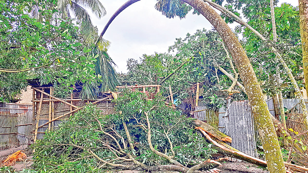  ছবি: প্রথম আলো