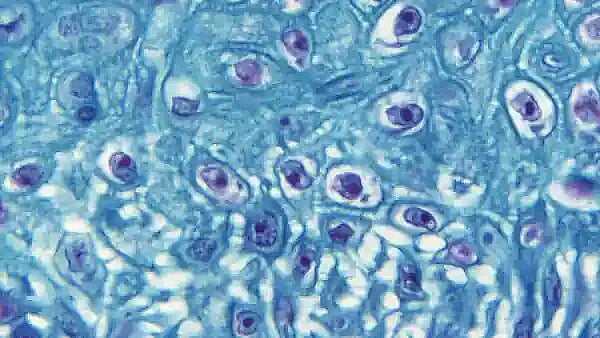 ছবি: রয়টার্স