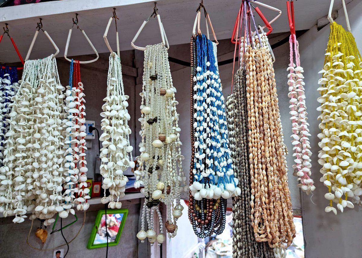 ছবি: প্রথম আলো