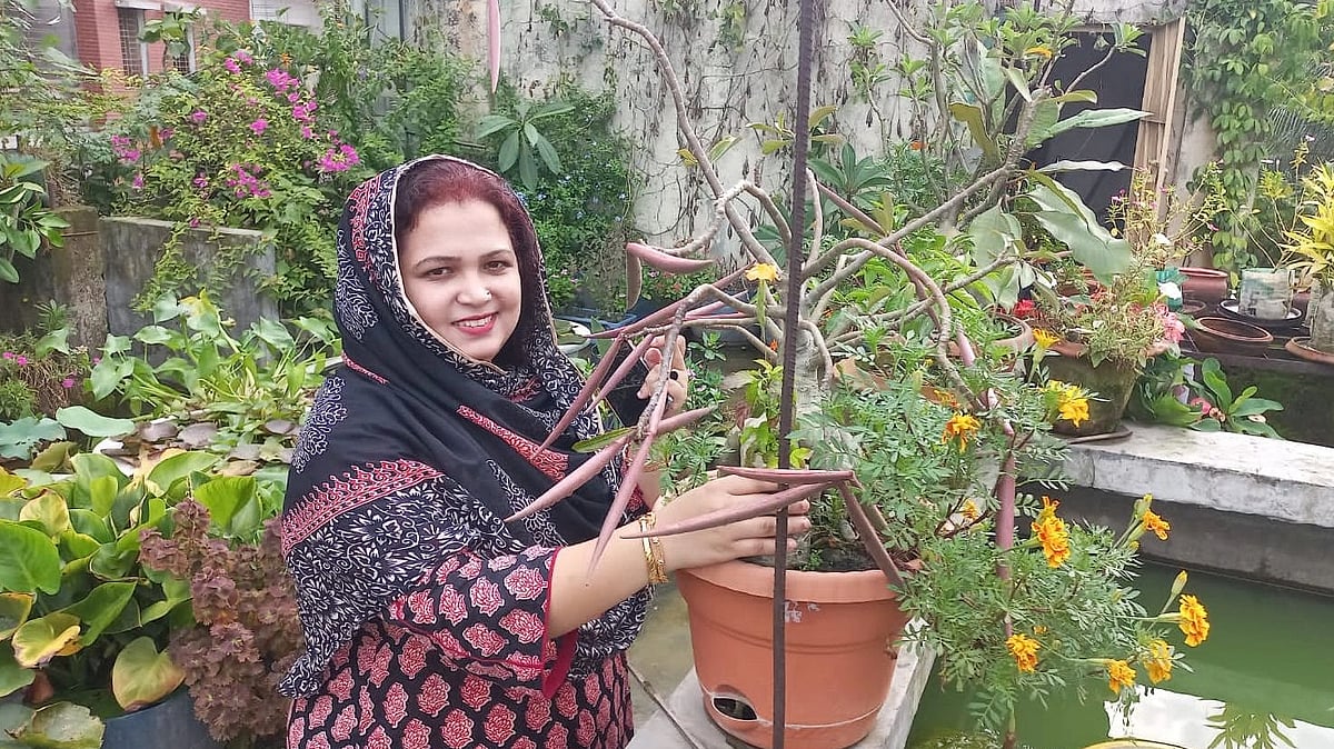 ছবি: প্রথম আলো