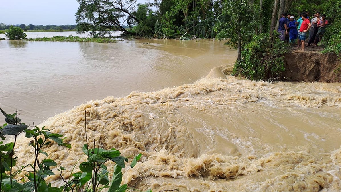 ছবি: প্রথম আলো