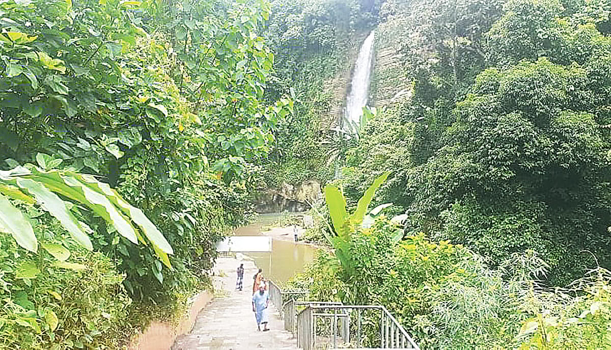 ছবি: প্রথম আলো