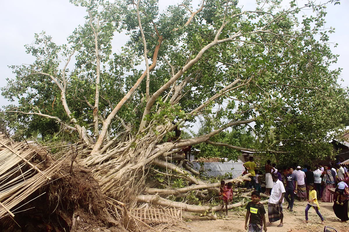 ছবি: প্রথম আলো