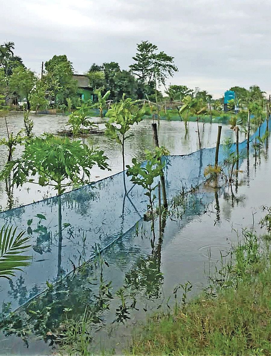 ছবি: প্রথম আলো 