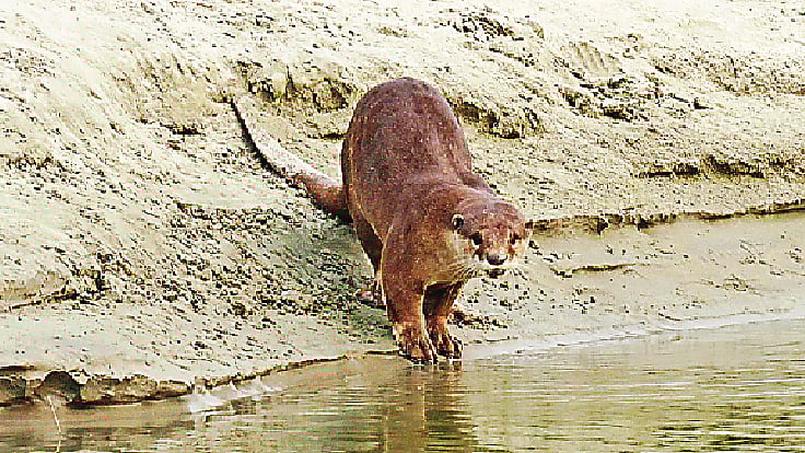 ছবি: লেখক