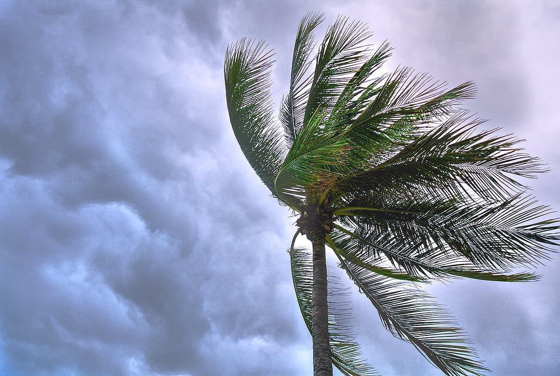 ছবি: পেক্সেলস