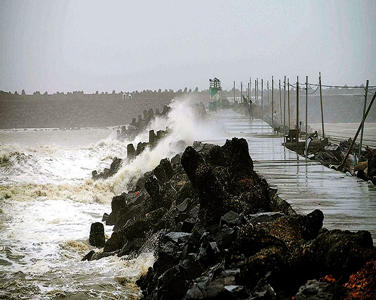 ফাইল ছবি