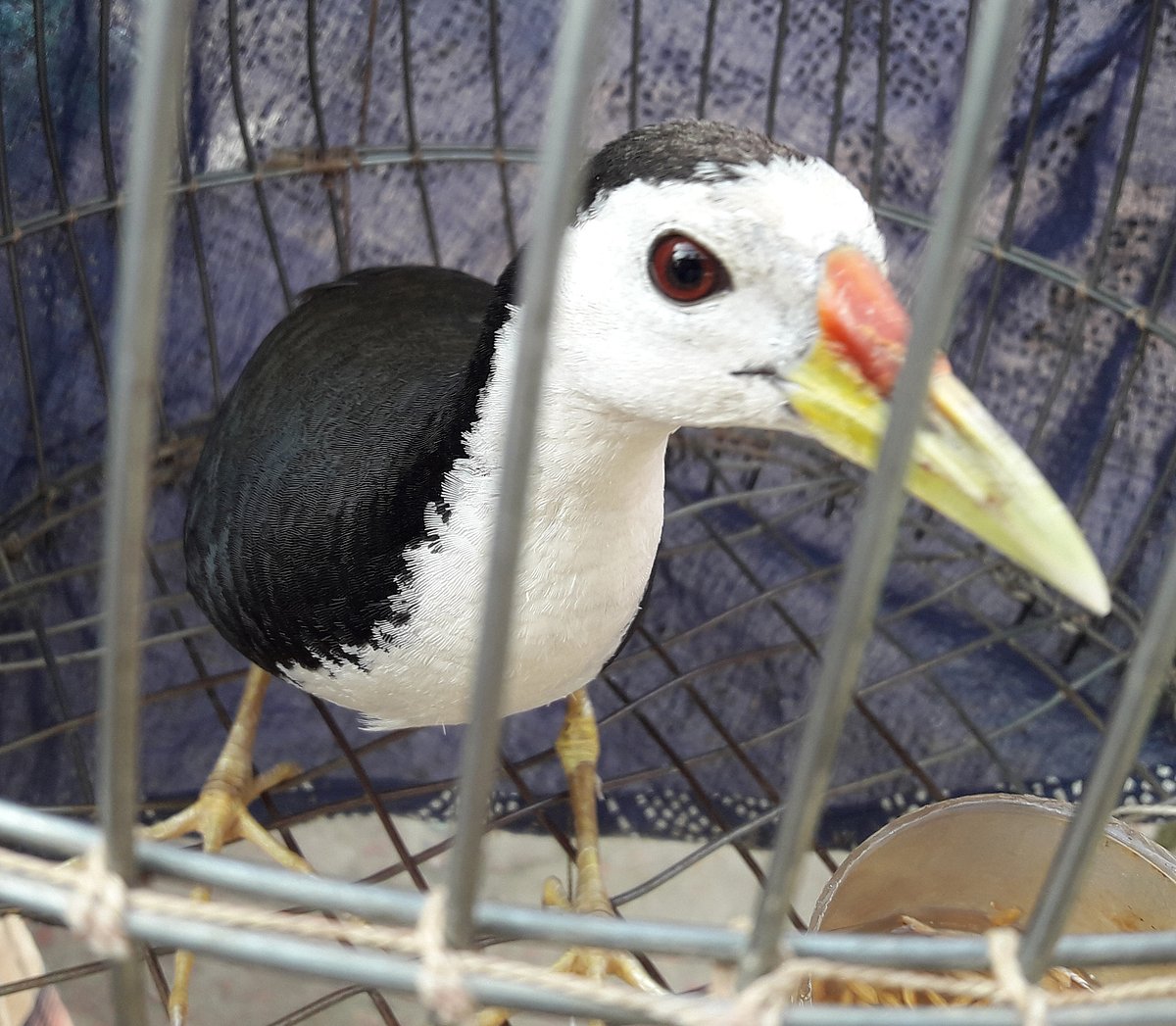 ছবি: প্রথম আলো