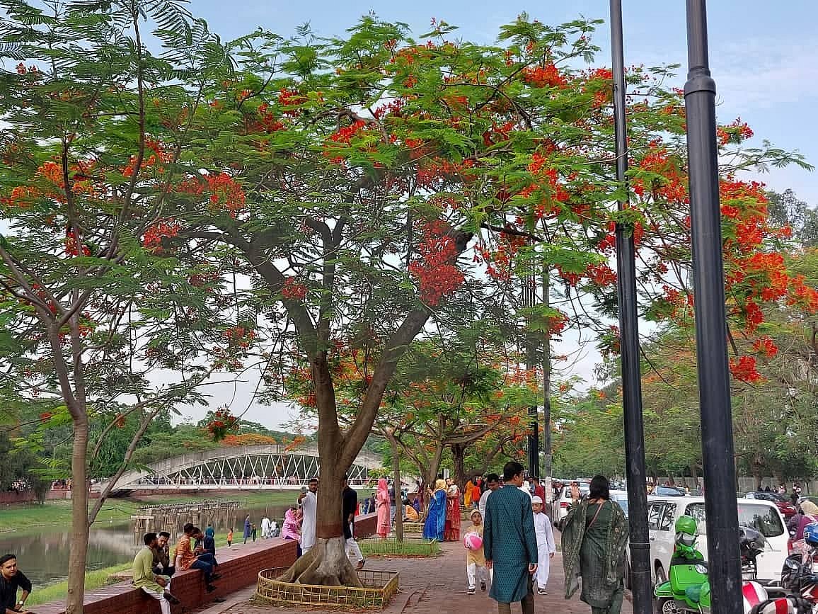 ছবি: মোছাব্বের হোসেন