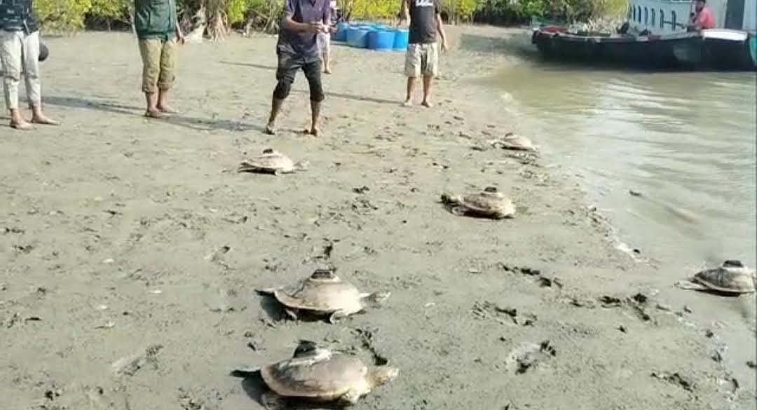 ছবি: প্রথম আলো