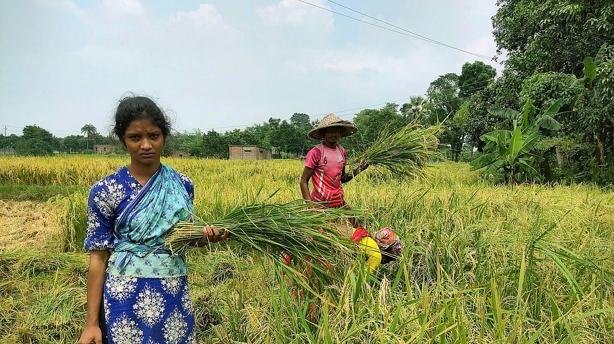 ছবি: আনোয়ার হোসেন