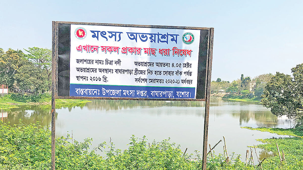 ছবি: প্রথম আলো 