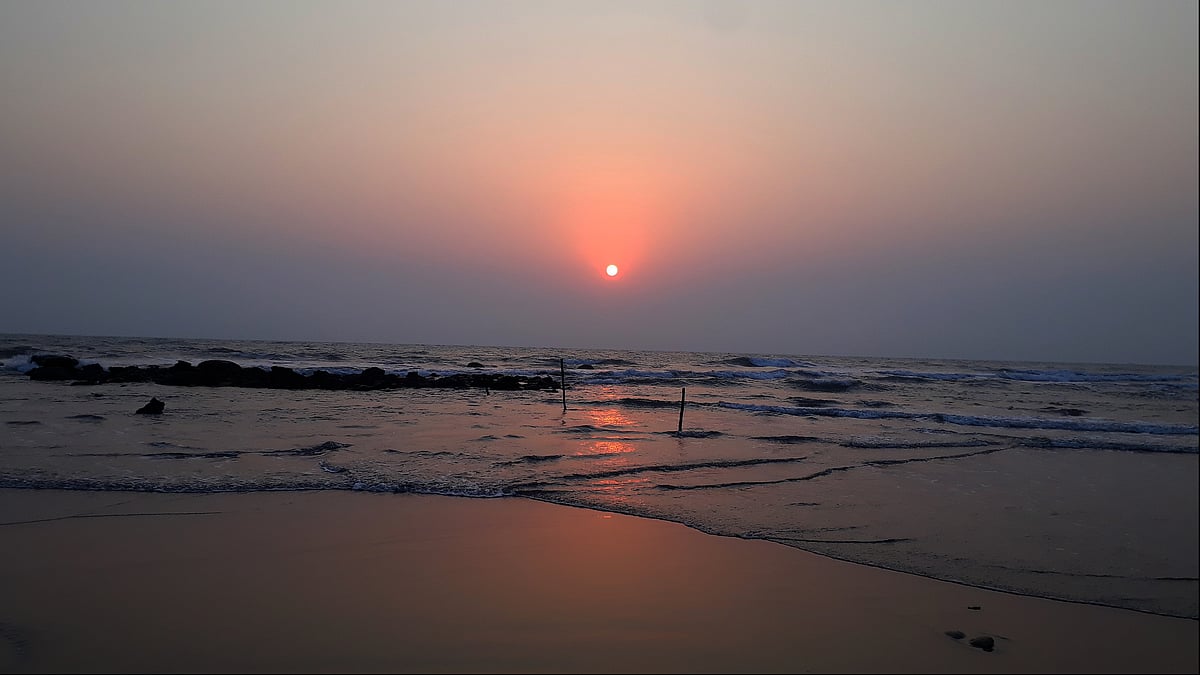 ফাইল ছবি