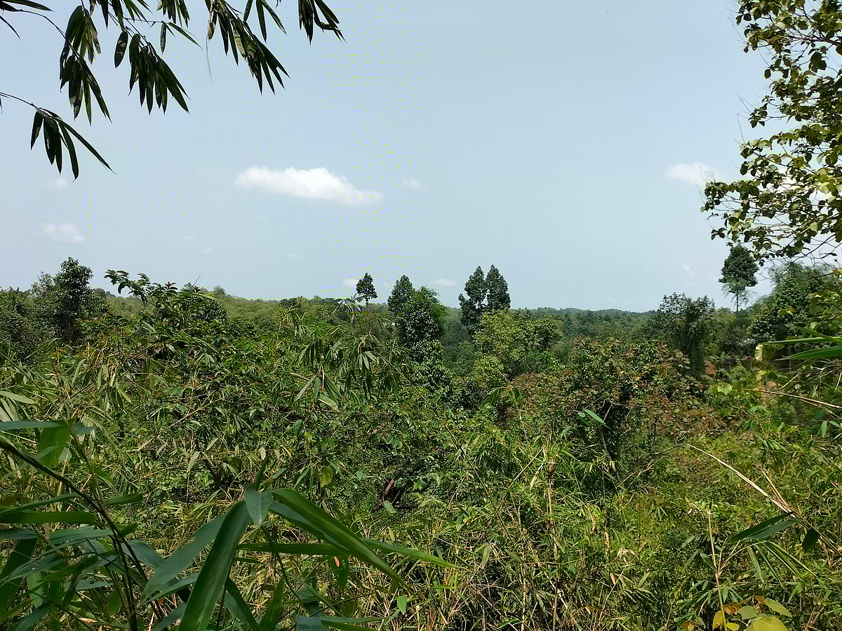 ছবি: শিমুল তরফদার