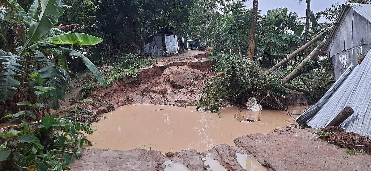 ছবি: দেবাশীষ সাহা রায়