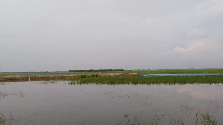 ছবি: প্রথম আলো