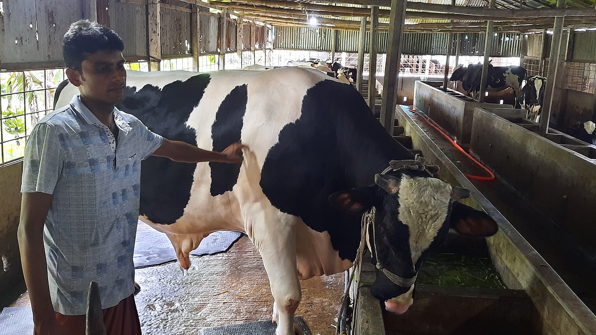 ছবি: প্রথম আলো