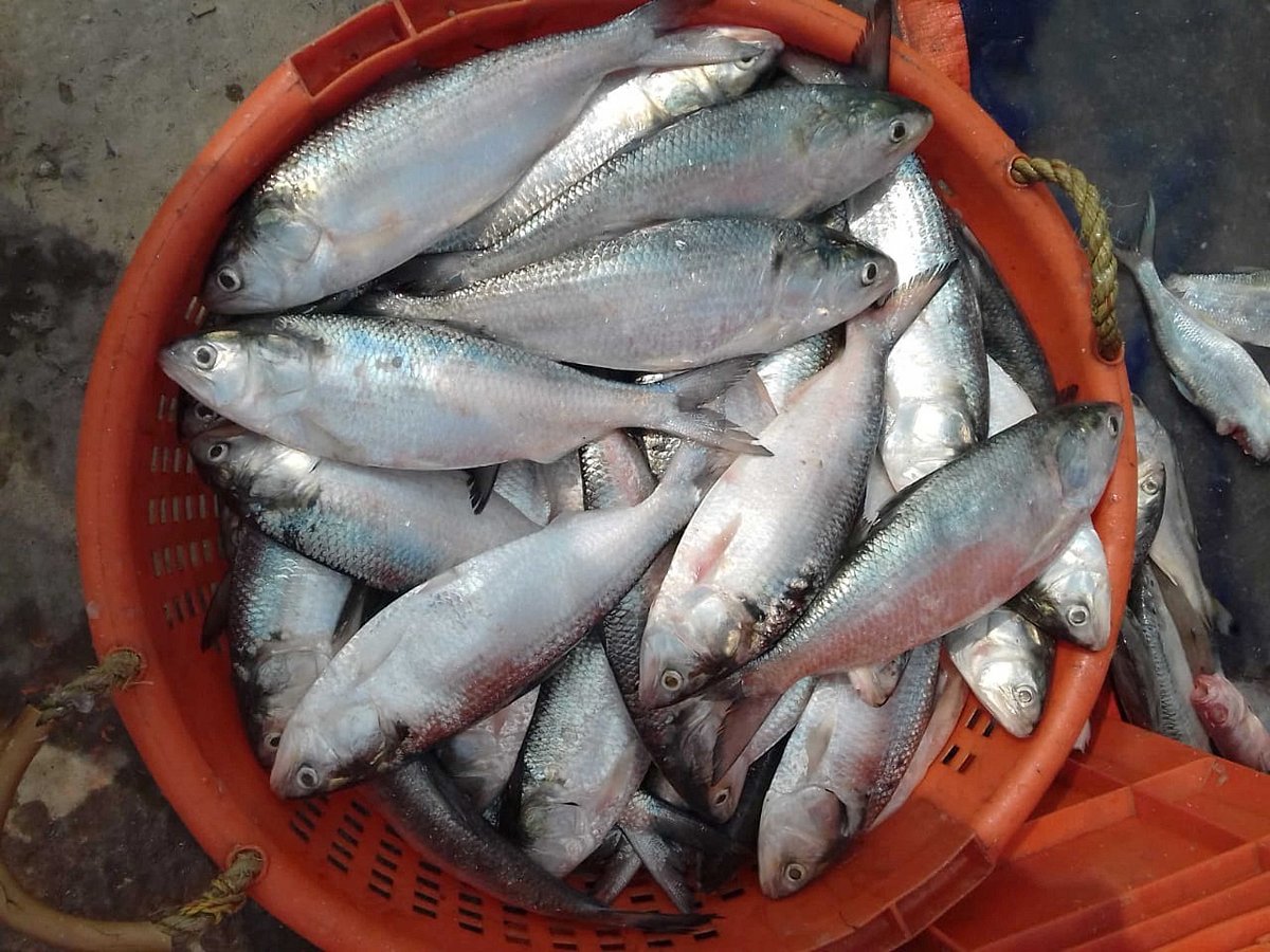 ছবি: ভাস্কর মুখার্জি