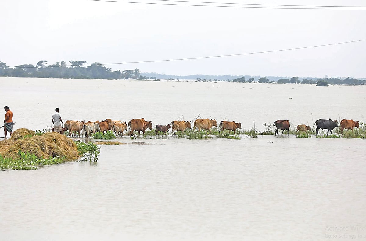 ছবি: প্রথম আলো