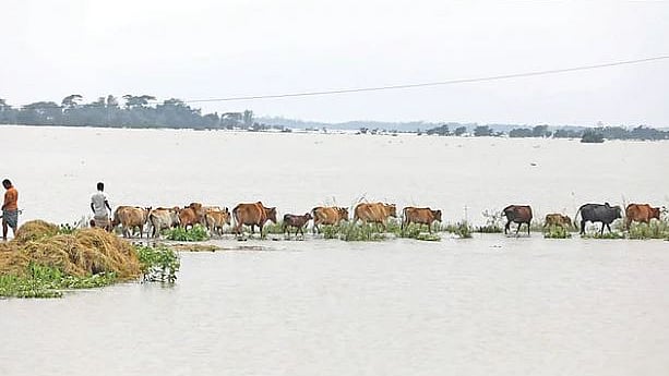 ছবি: প্রথম আলো
