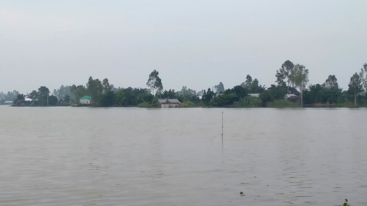ছবি: প্রথম আলো