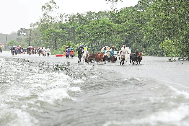 ফাইল ছবি