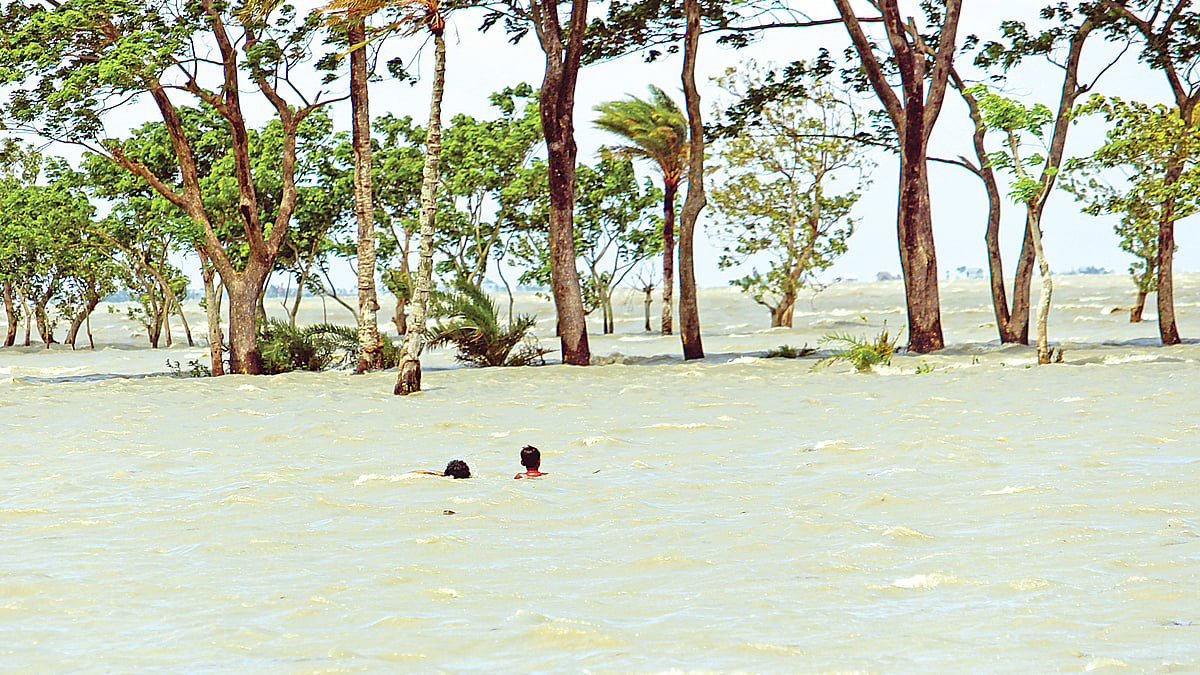 ছবি: প্রথম আলো