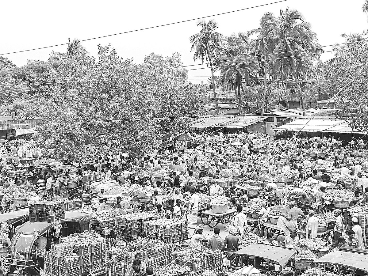 ছবিঃ আনোয়ার হোসেন