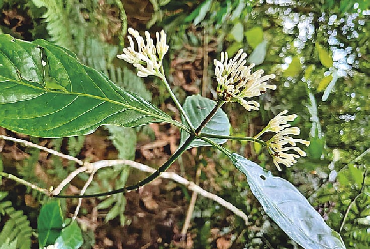 ছবি: লেখক