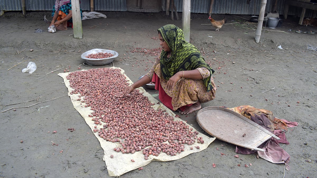 ছবি: প্রথম আলো