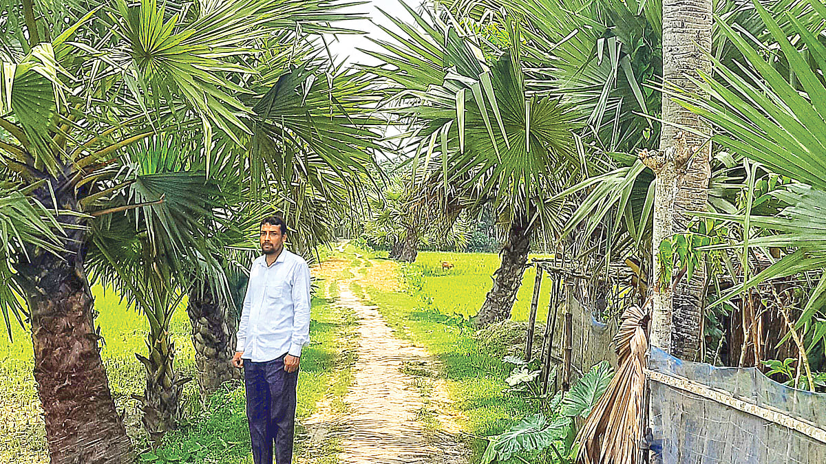 ছবি: দিলীপ মোদক 