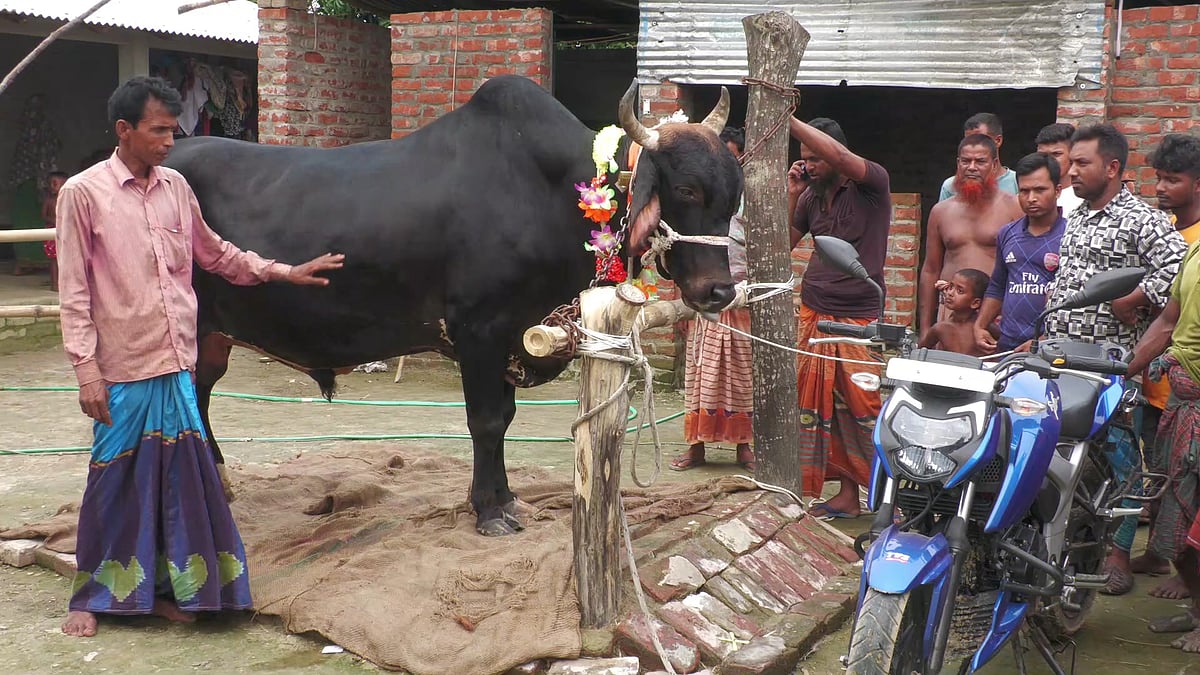 ছবি: প্রথম আলো