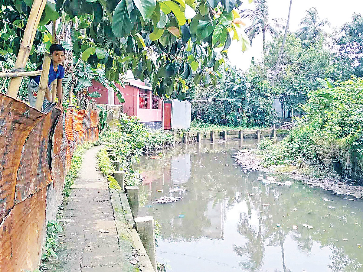 ছবি: প্রথম আলো