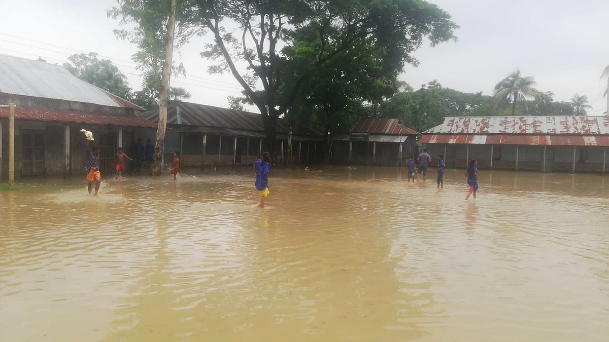  ছবি: প্রথম আলো
