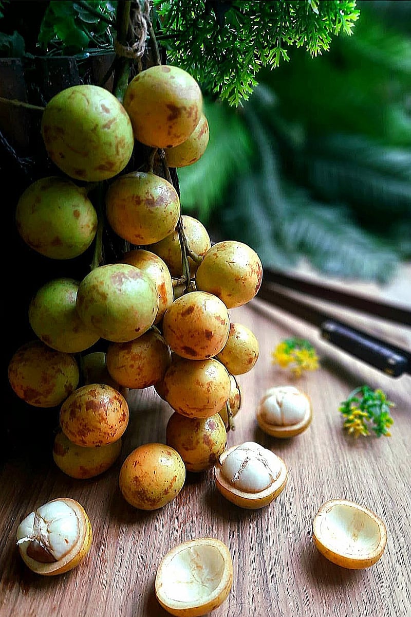 লটকন শক্তিতে কাঁঠালের দ্বিগুণ 