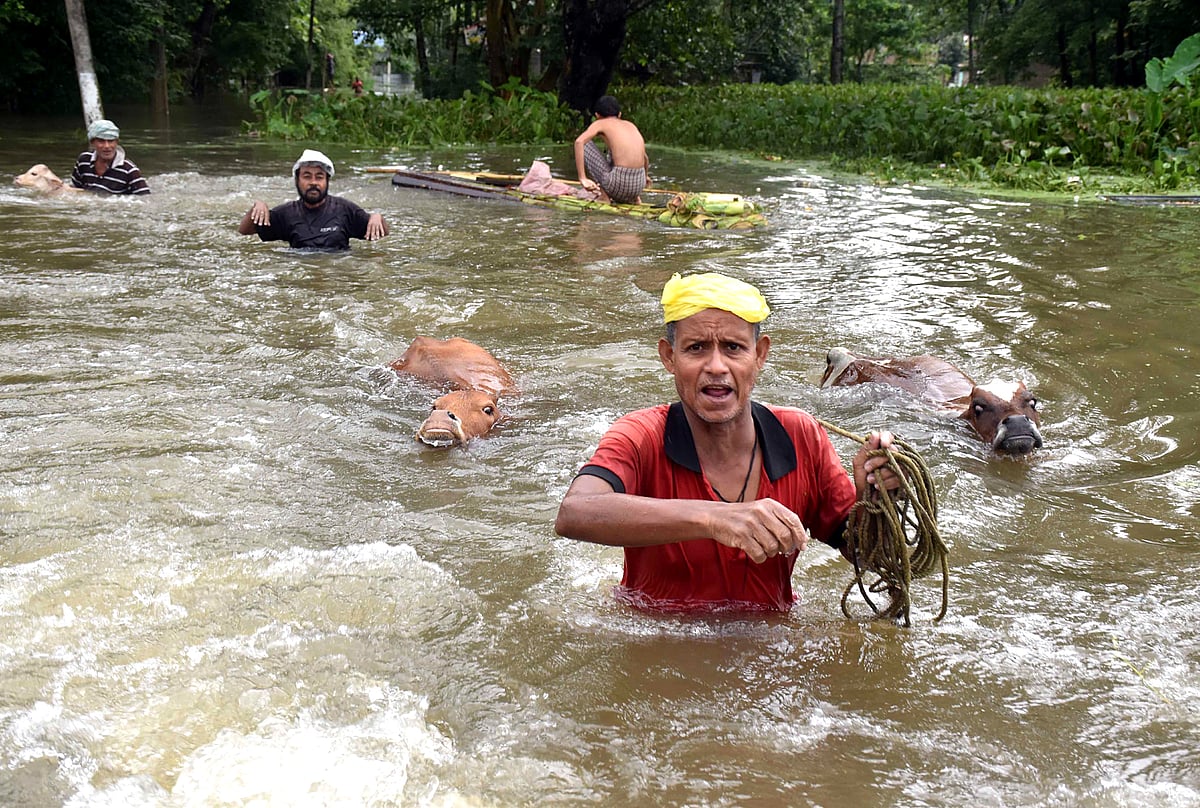 ছবি: এএনআই
