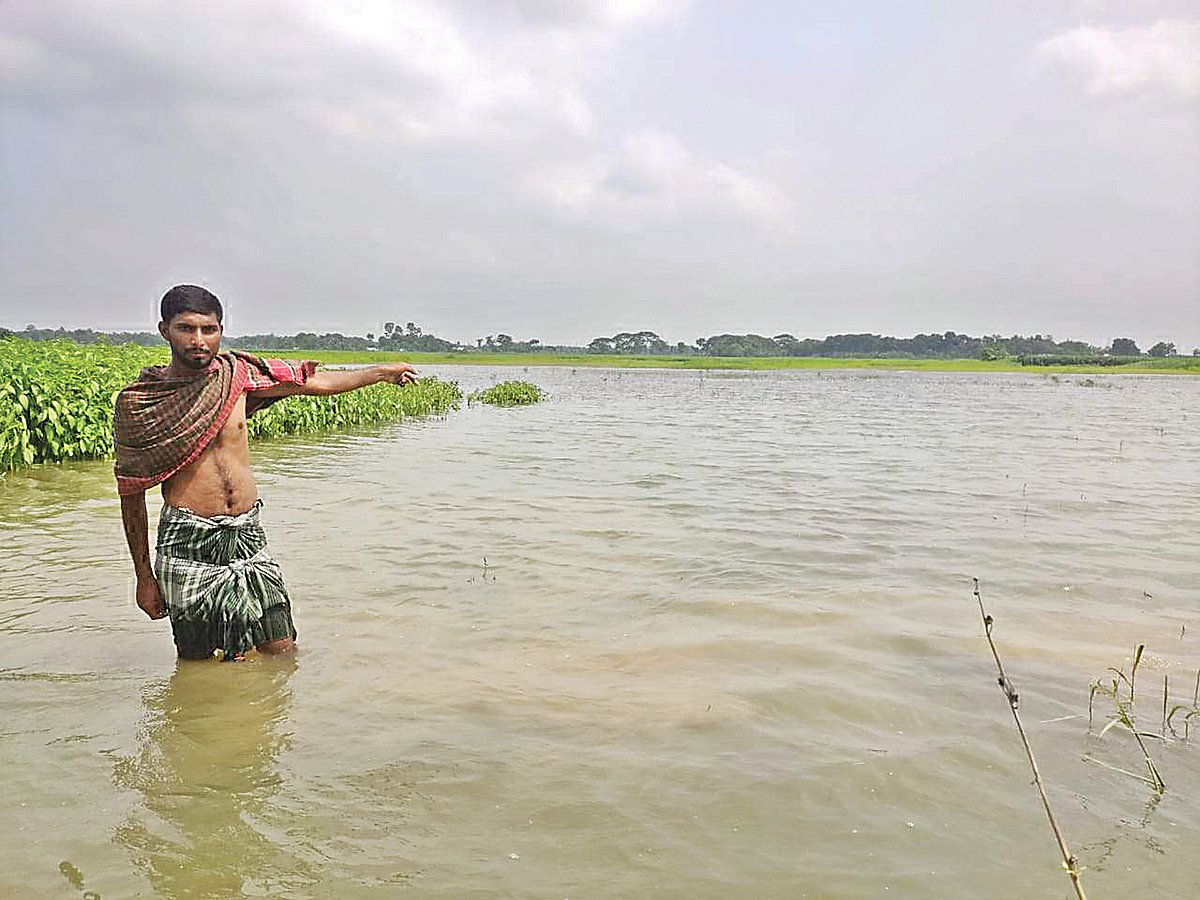 ছবি: প্রথম আলো 