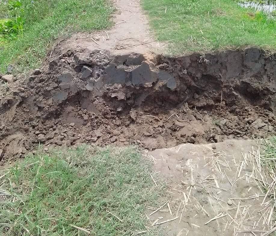 ছবি: প্রথম আলো