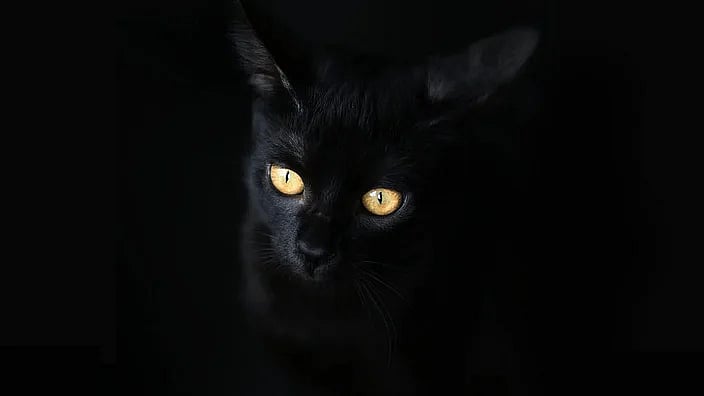 ছবি: পেক্সেলস