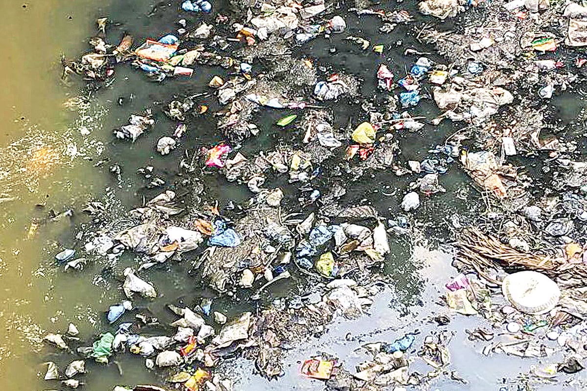 ছবি: প্রথম আলো 