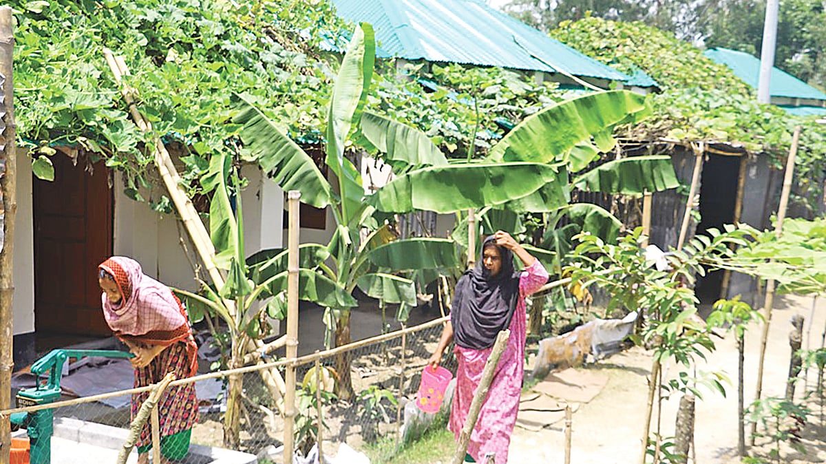  ছবি: প্রথম আলো