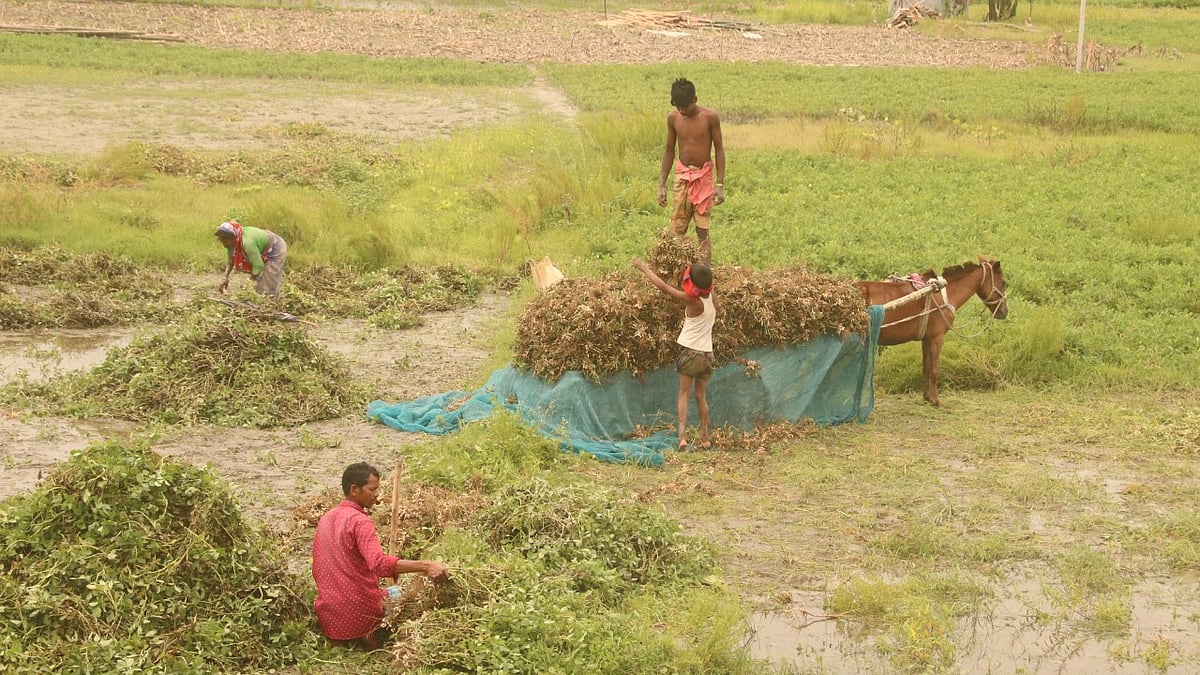  ছবি: প্রথম আলো