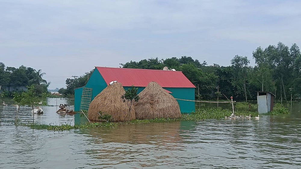 ছবি: প্রথম আলো