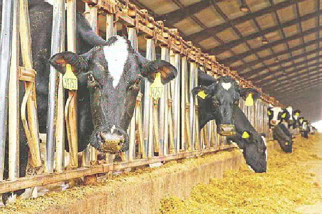 প্রতীকী ছবি: রয়টার্স