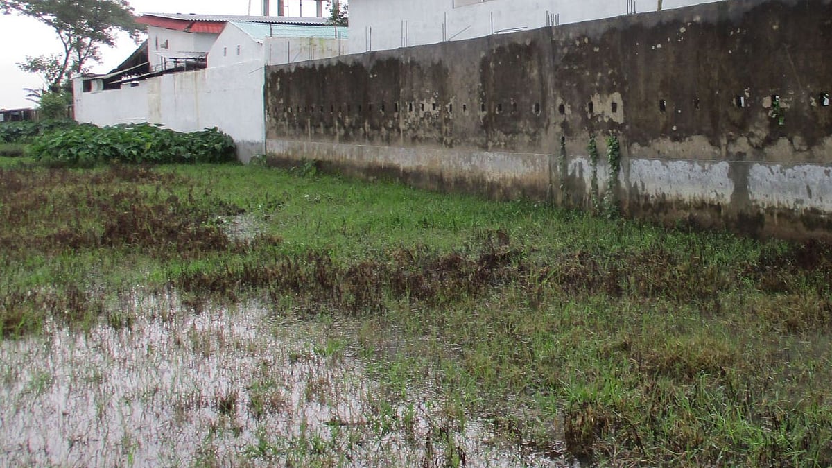 ছবি: প্রথম আলো