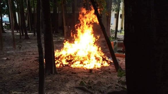 ছবি: প্রথম আলো