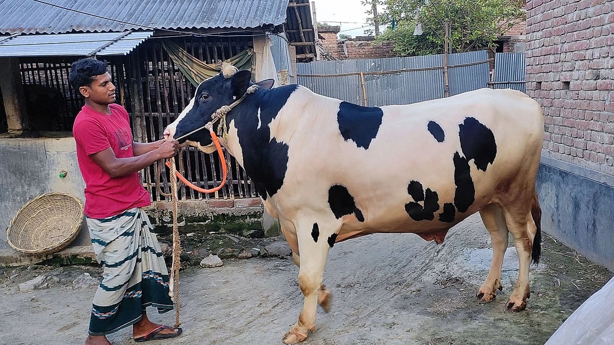 ছবি: প্রথম আলো