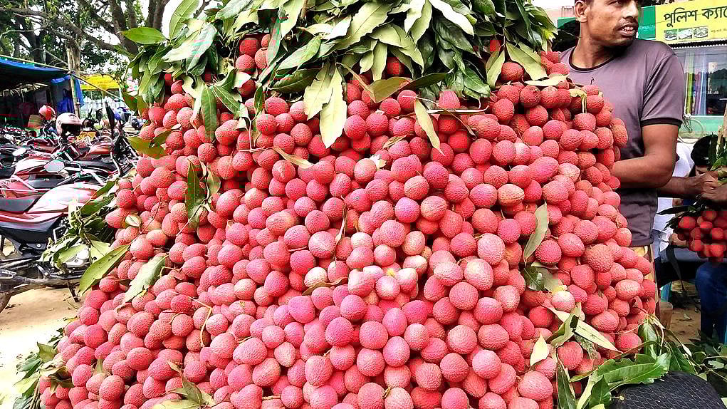 ছবি: প্রথম আলো