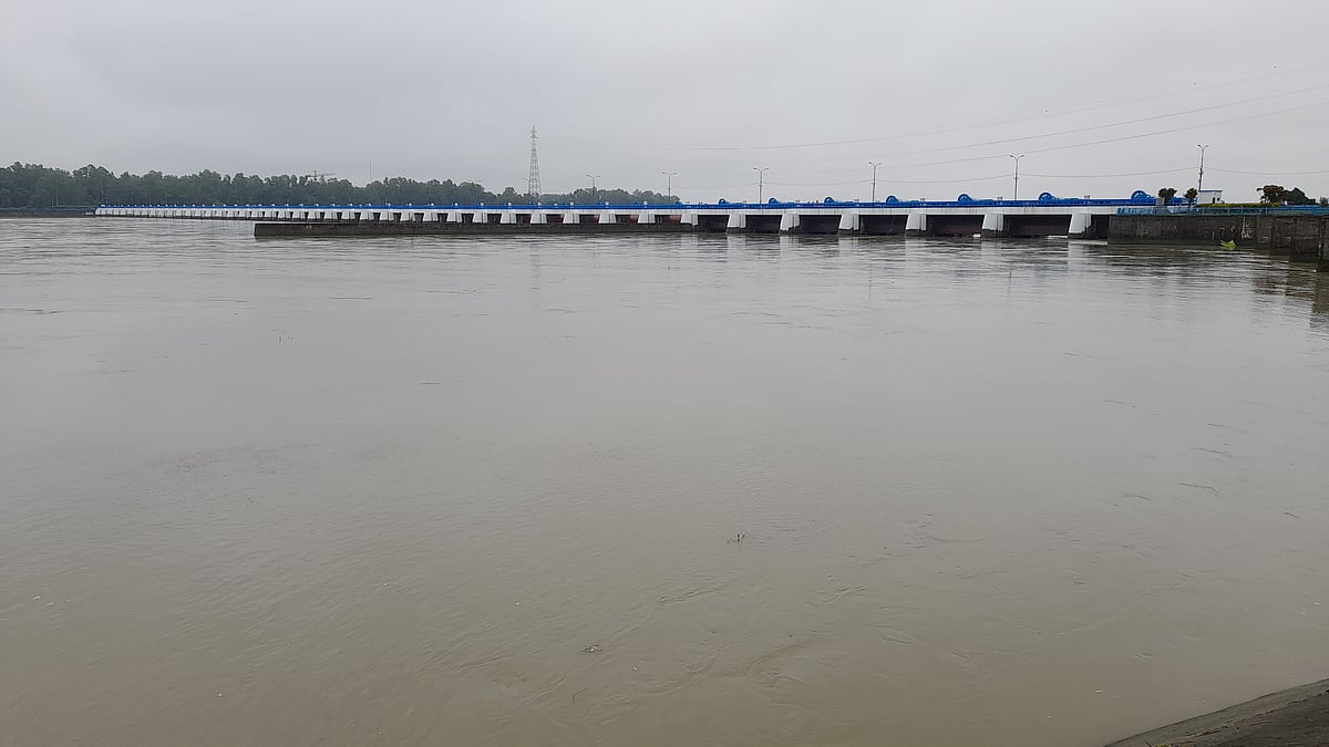 ফাইল ছবি: প্রথম আলো